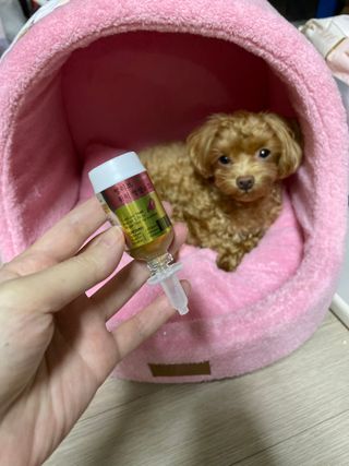 ehlove님이 올린 리뷰 사진 1