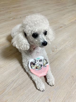 zzzbebemin님이 올린 리뷰 사진 4