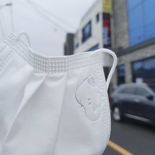 JHWORLD 스누피 마스크 정품 스누피 KF-AD 국내 비말차단 아동용 성인용 일회용 덴탈마스크 50매 — 5점을 준 리뷰어가 2021년 6월 올린 사용 사진