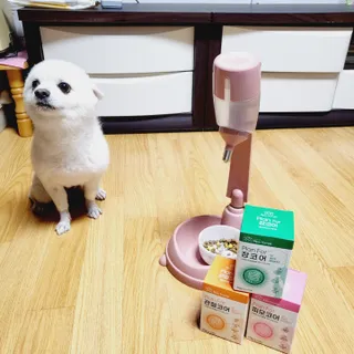 코코츄님이 올린 리뷰 사진 2
