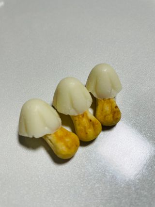 으콩님이 올린 리뷰 사진 4