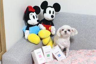 희온느님이 올린 리뷰 사진 1