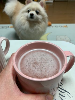 별이빛나길님이 올린 리뷰 사진 4