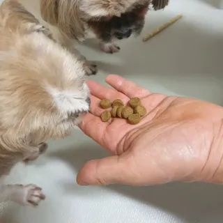 보리엄마님이 올린 리뷰 사진 3