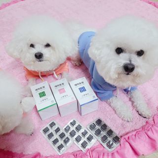 삼숑이맘님이 올린 리뷰 사진 3