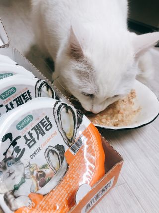 마요마요님이 올린 리뷰 사진 1
