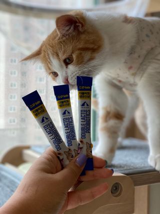 임효선님이 올린 리뷰 사진 3