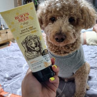 버츠비 케어플러스 릴리빙포앤노즈로션 — 4점을 준 리뷰어가 2021년 4월 올린 사용 사진