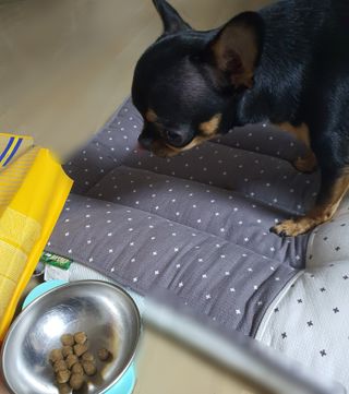 푸둘님이 올린 리뷰 사진 3