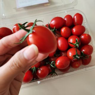 레드닥터 대추방울토마토 + 통째로 동결건조한 대추방울토마토 — 5점을 준 리뷰어가 2022년 12월 올린 사용 사진