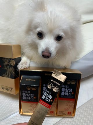 서울약사신협_투데이홍삼정플러스스틱_10g x 30포 — 5점을 준 리뷰어가 2021년 5월 올린 사용 사진