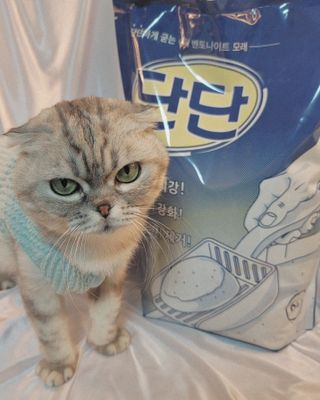 유햐님이 올린 리뷰 사진 1