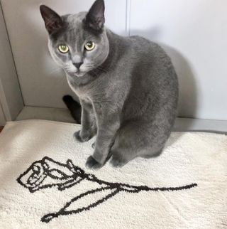 미우미우님이 올린 리뷰 사진 1