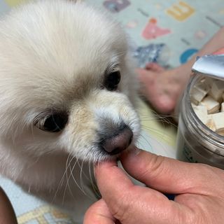 별이빛나길님이 올린 리뷰 사진 3