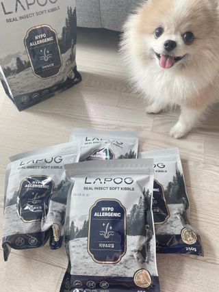 [푸디웜] 라포그 리얼인섹트 소프트키블 스킨 1KG — 5점을 준 리뷰어가 2022년 9월 올린 사용 사진