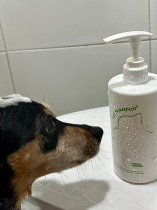 뚜나벨님이 올린 리뷰 사진 4