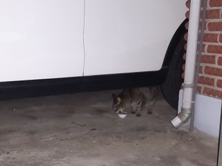 몽실이님이 올린 리뷰 사진 4