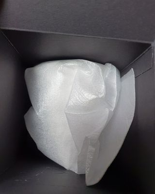 코하드블랑 캘리포니아 규조토 포레스트 인테리어 오브제 — 5점을 준 리뷰어가 2021년 2월 올린 사용 사진
