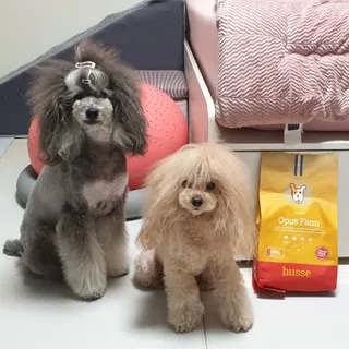 BlossomY님이 올린 리뷰 사진 1