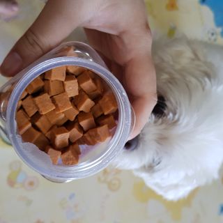 페페로니 진짜 오메가3 연어+소고기 180g+180g — 5점을 준 리뷰어가 2021년 7월 올린 사용 사진