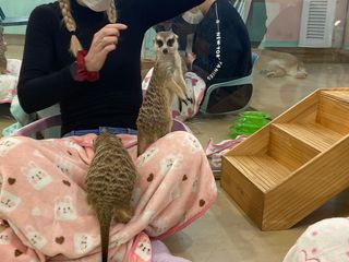 Shelly님이 올린 리뷰 사진 4