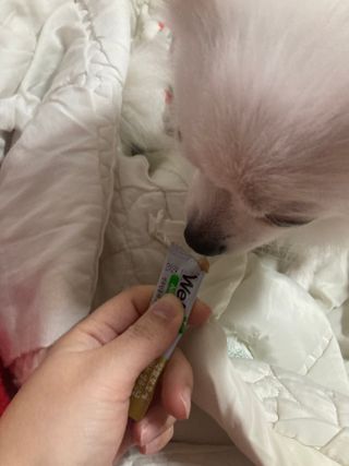 또왔엉님이 올린 리뷰 사진 3