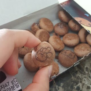쑤루쑥쑥님이 올린 리뷰 사진 3