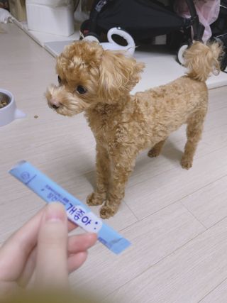 ehlove님이 올린 리뷰 사진 4