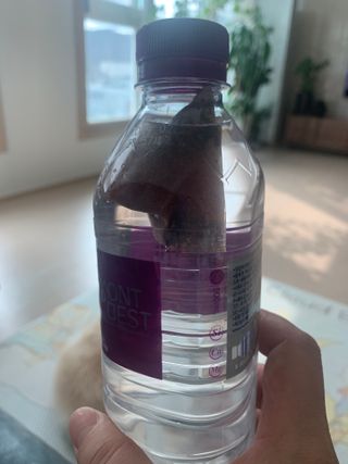 몽베스트 [MONTBEST]위드어스 500mL 20병 — 5점을 준 리뷰어가 2024년 3월 올린 사용 사진