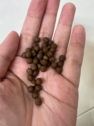 토끼님이 올린 리뷰 사진 3
