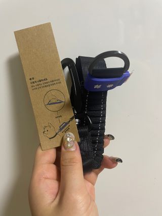베이컨박스 [BACON] 고아웃클럽 산책 안전벨트 리뉴얼 - 중,대형견용 — 5점을 준 리뷰어가 2021년 12월 올린 사용 사진