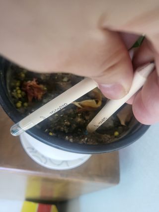 푸카푸카님이 올린 리뷰 사진 4