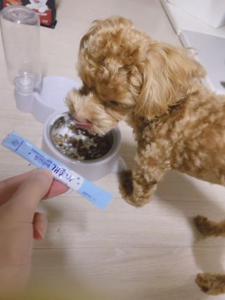 ehlove님이 올린 리뷰 사진 2