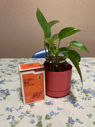 광동생활건강 [9가지 복합기능성] 광동 간 건강엔 활력 밀크씨슬 — 4.5점을 준 리뷰어가 2023년 2월 올린 사용 사진