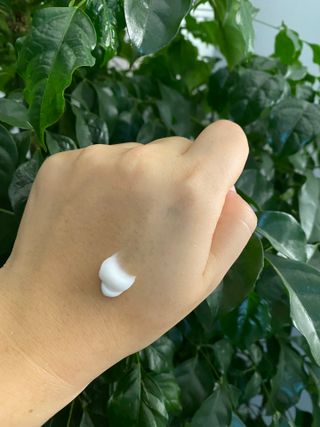 민트랄라님이 올린 리뷰 사진 2