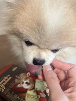 밍크마마님이 올린 리뷰 사진 4