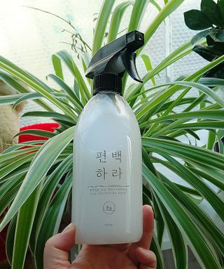 케이이이님이 올린 리뷰 사진 2