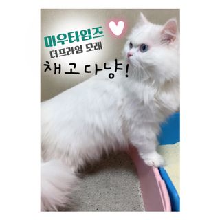 똥비님이 올린 리뷰 사진 1