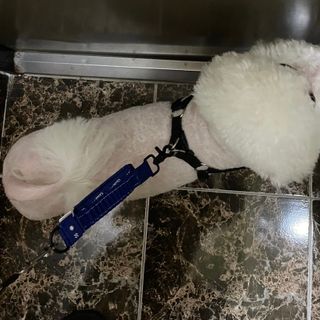 융투님이 올린 리뷰 사진 4