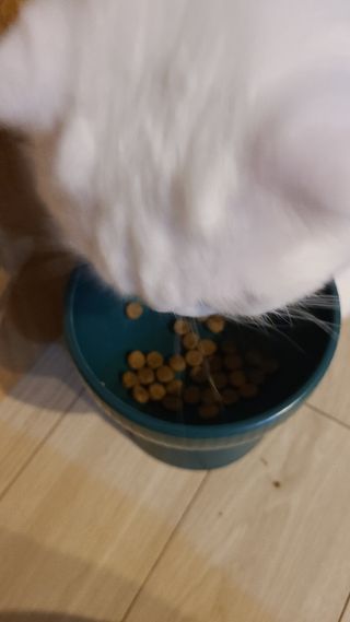 mintblue님이 올린 리뷰 사진 4