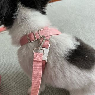 HaejinSeung님이 올린 리뷰 사진 3