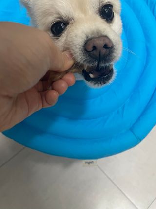 뱅지님이 올린 리뷰 사진 3