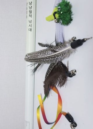 KAY님이 올린 리뷰 사진 1