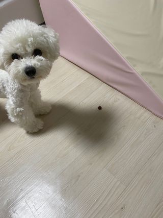 설이님이 올린 리뷰 사진 3
