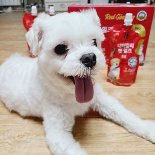 지니야님이 올린 리뷰 사진 2