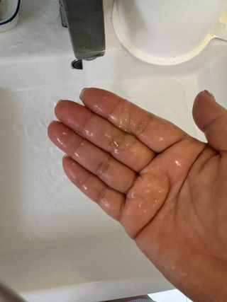 프리마인 메이크업과 들뜨는 각질까지 한방에 깐달걀로! 순하기까지한 셀베이스 그린티클렌저(200ml) — 5점을 준 리뷰어가 2023년 5월 올린 사용 사진