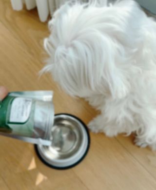 캐닌캐비어 4종 체험팩(오픈스카이, 와일드오션, 프리스피릿, 스페셜니즈) — 5점을 준 리뷰어가 2023년 2월 올린 사용 사진