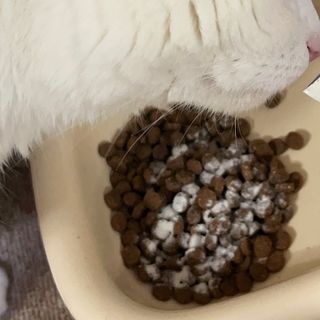 jyerin님이 올린 리뷰 사진 2