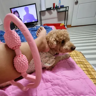 기린짱맘님이 올린 리뷰 사진 1