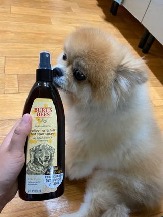 파이누이님이 올린 리뷰 사진 1